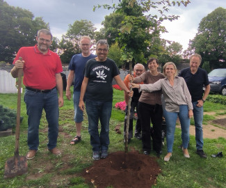 Baum-Pflanz-Challenge 2025